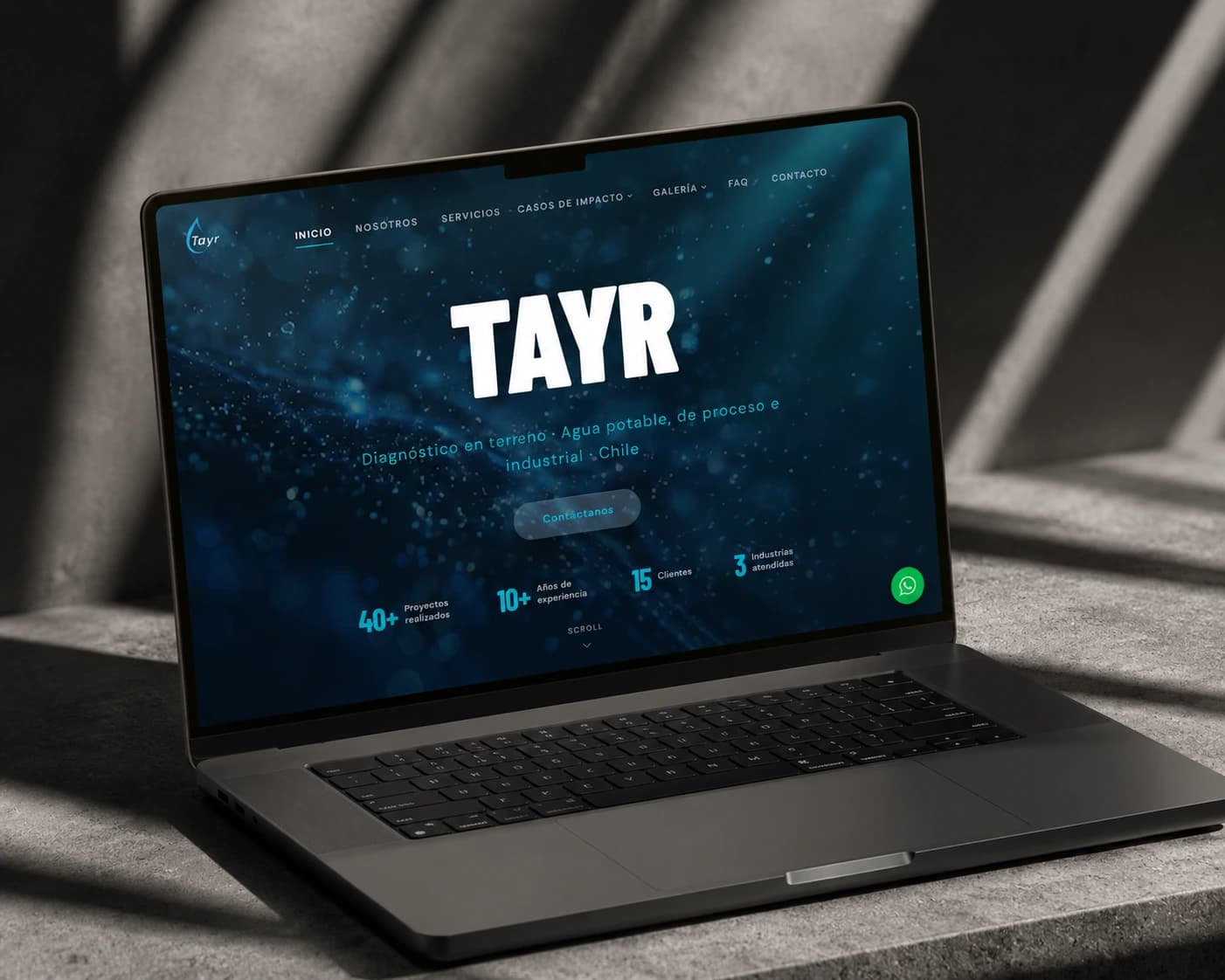 Tayr